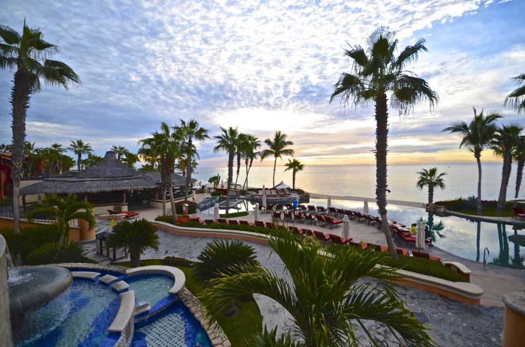 A group of palm trees next to a body of water