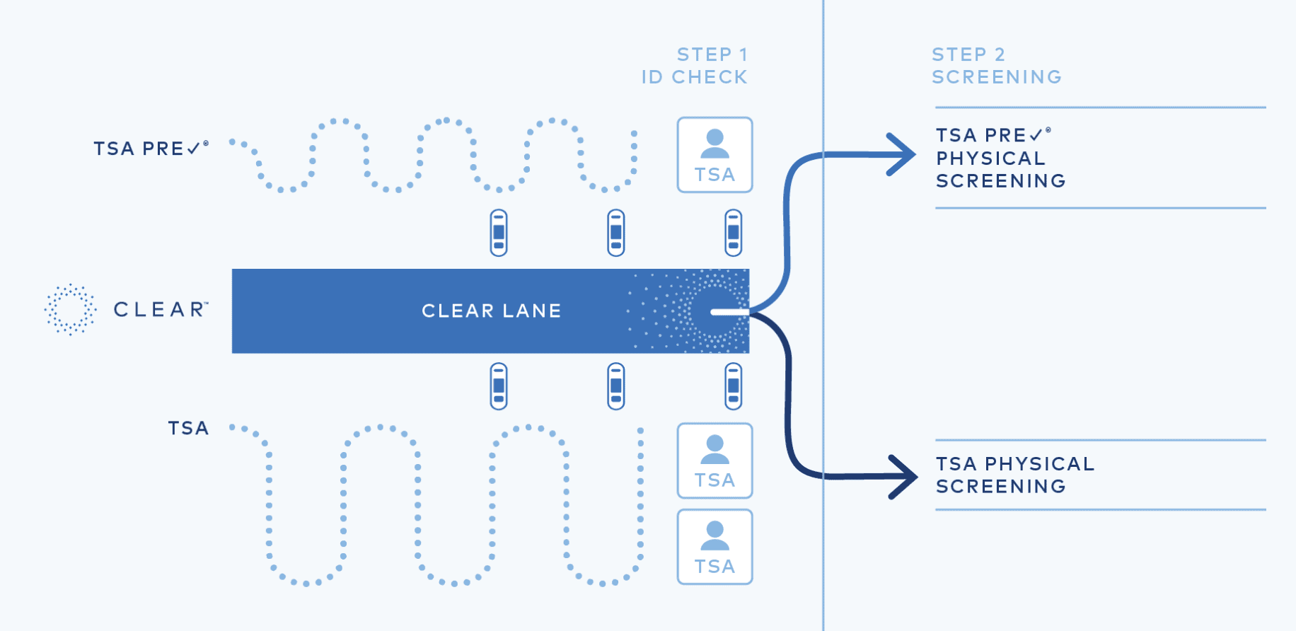 clear diagram for TSA lines