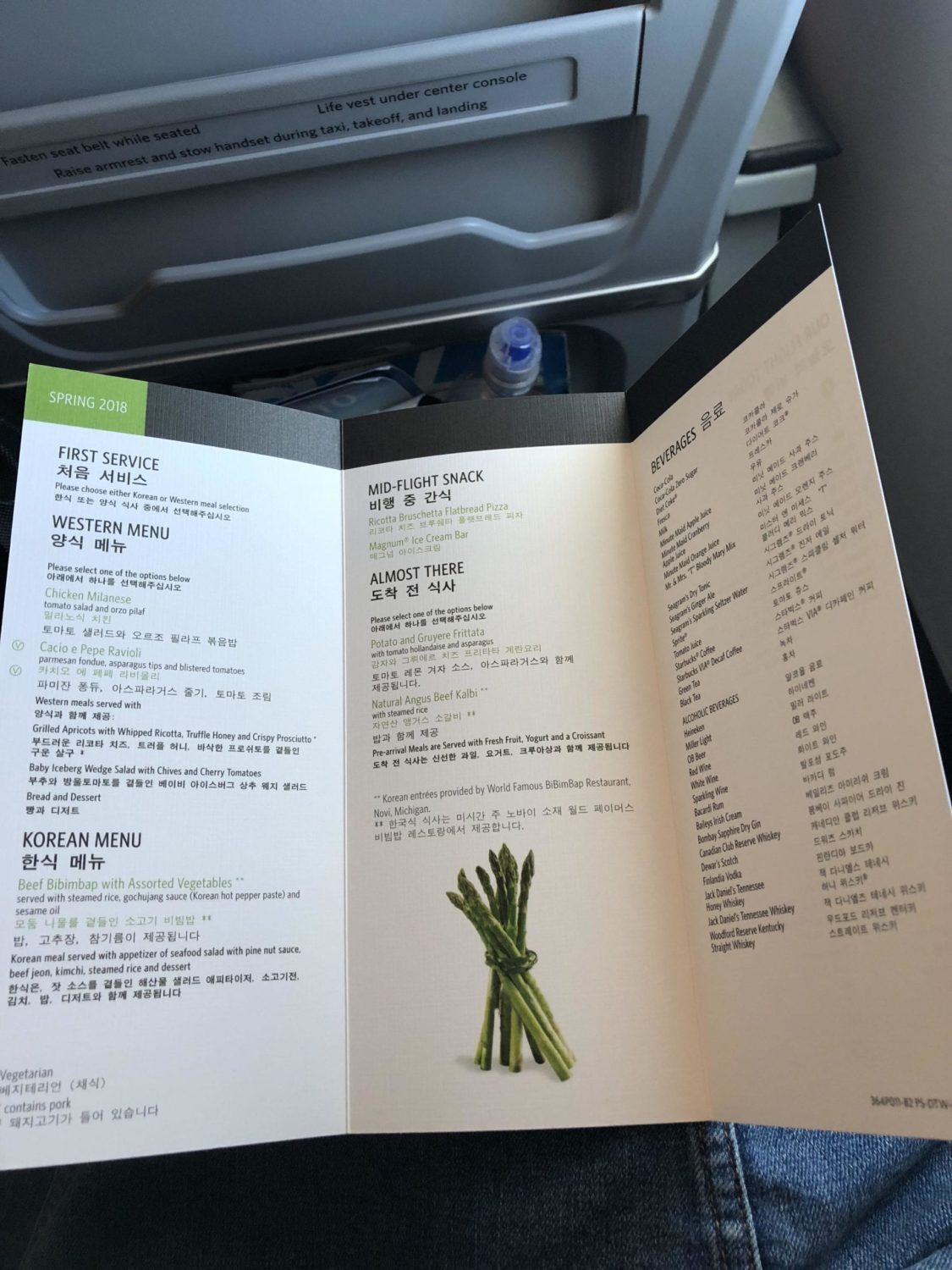 Delta Premium Select Review, Airbus A350 Detroit to Seoul