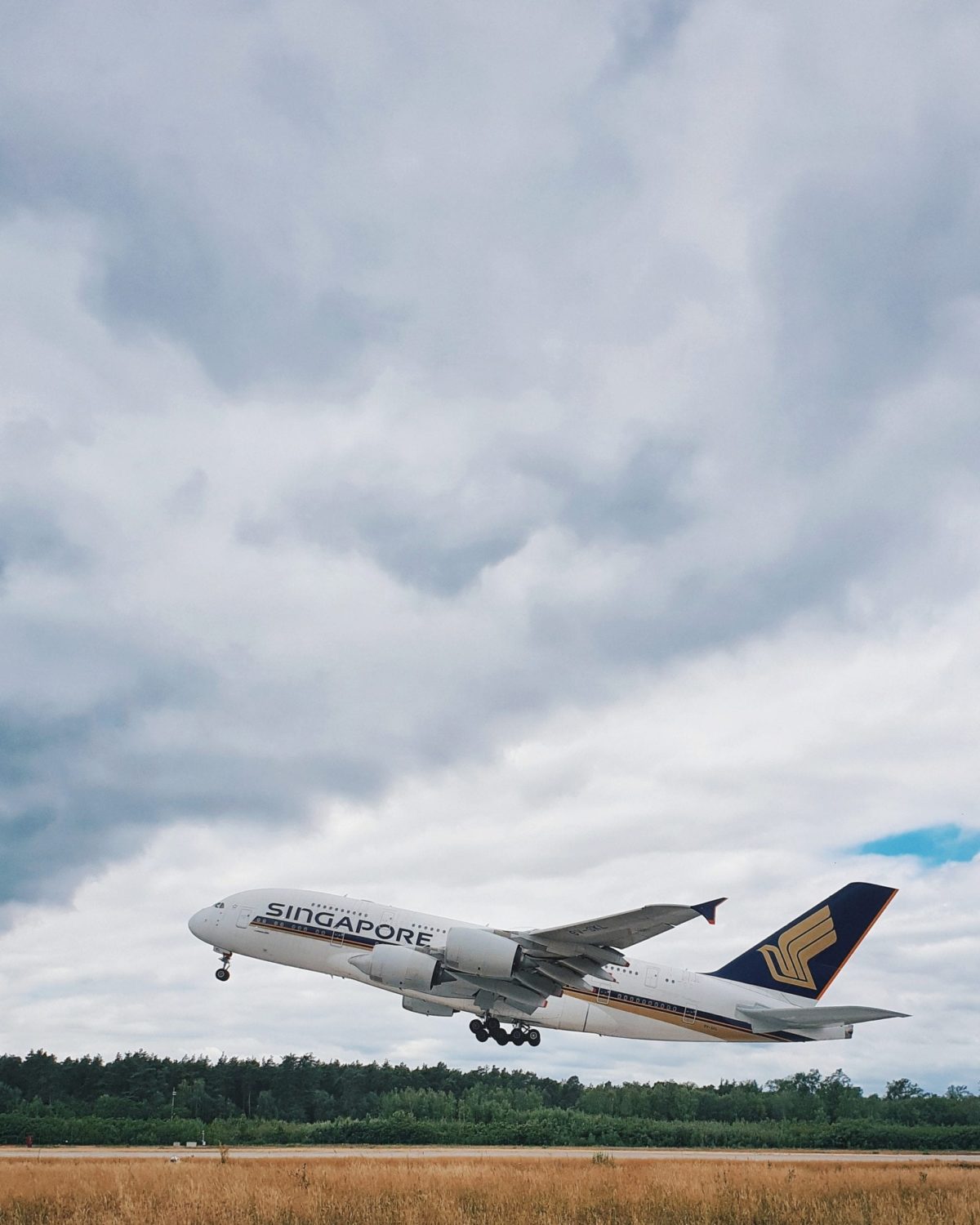 A large air plane on a cloudy day