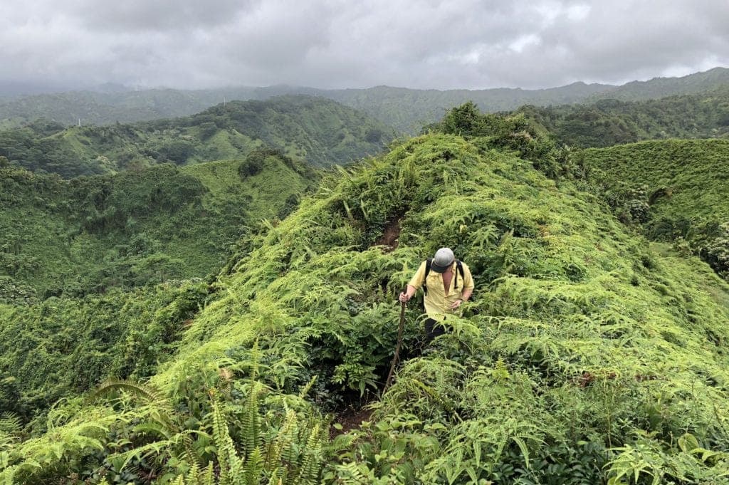 kauai hikes