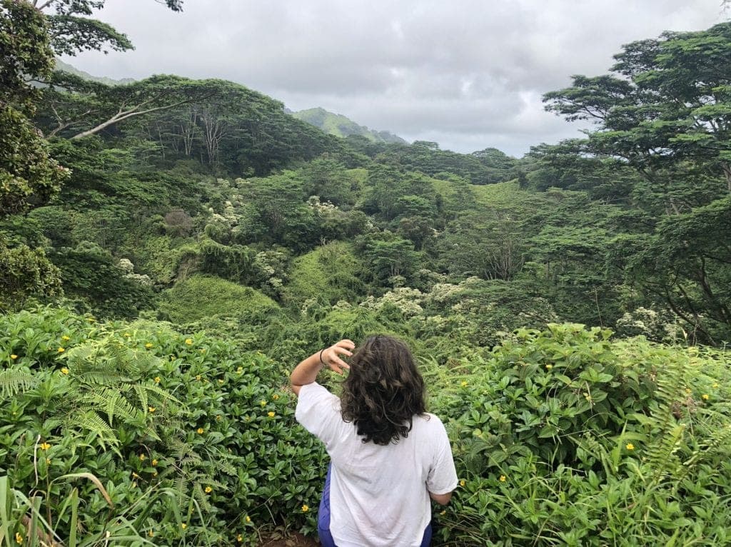 kauai hikes