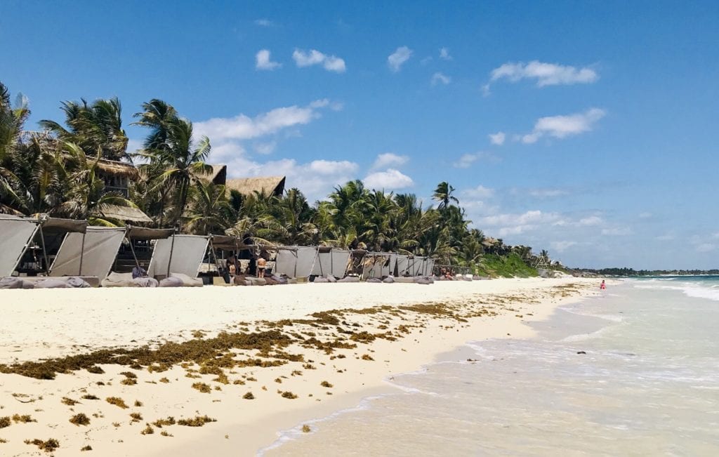 Papaya Playa Tulum