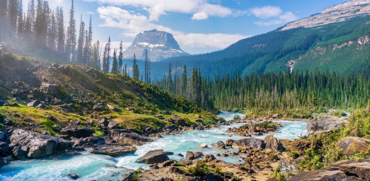 Get into National Parks for Free on These 5 Days in 2022