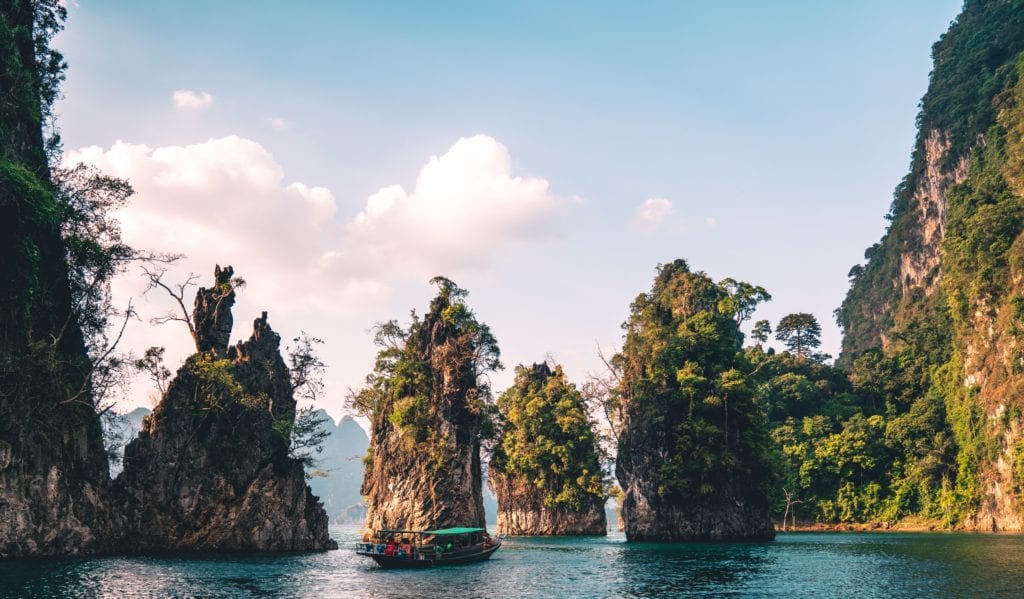 A tree in the middle of a body of water