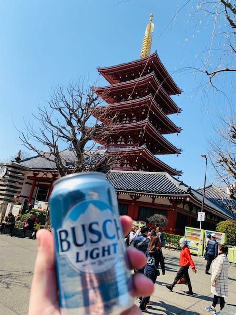 busch light