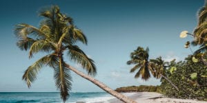 Martinique