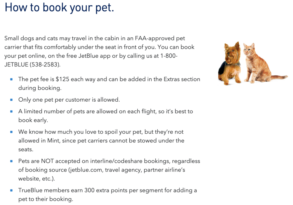 JetBlue Baggage Fees in 2022 (And How To Avoid Them)