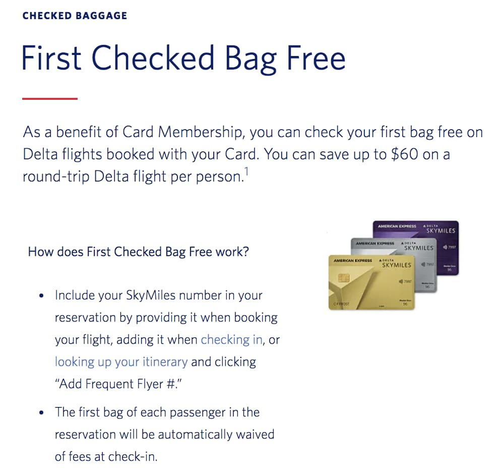 Delta american store express baggage