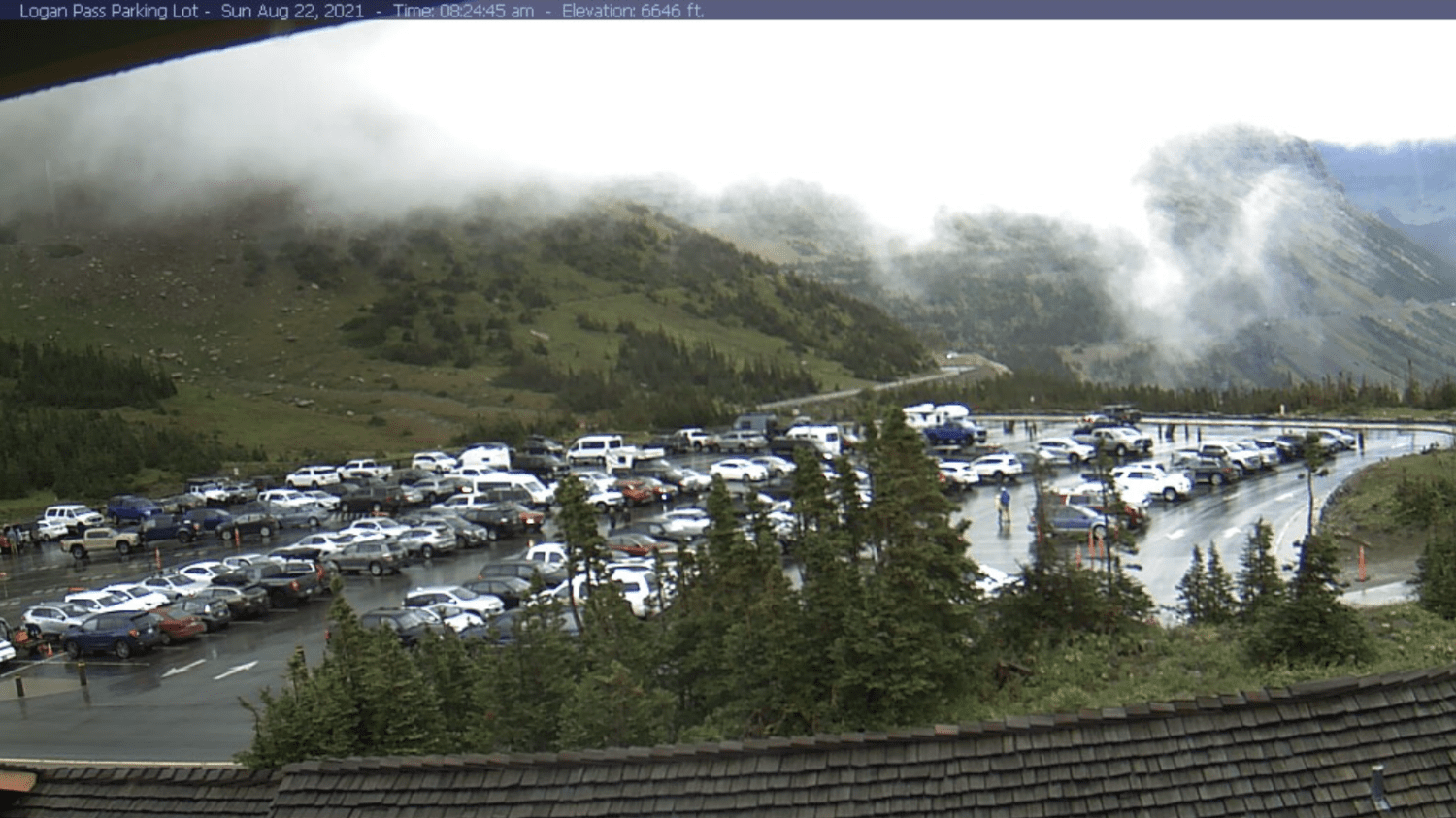 Logan Pass parking Glacier National Park