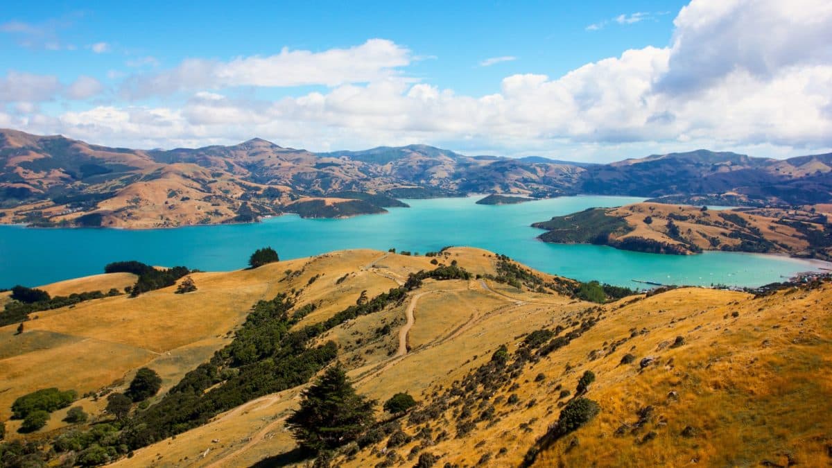 new zealand landscape