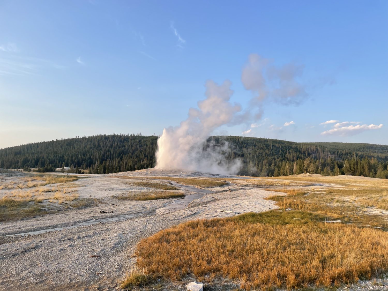 Yellowstone National Park road trip