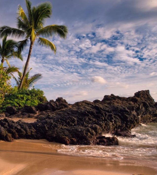 Thrifty Traveler Premium Thrifty Traveler Thrifty Traveler Premium Thrifty Traveler