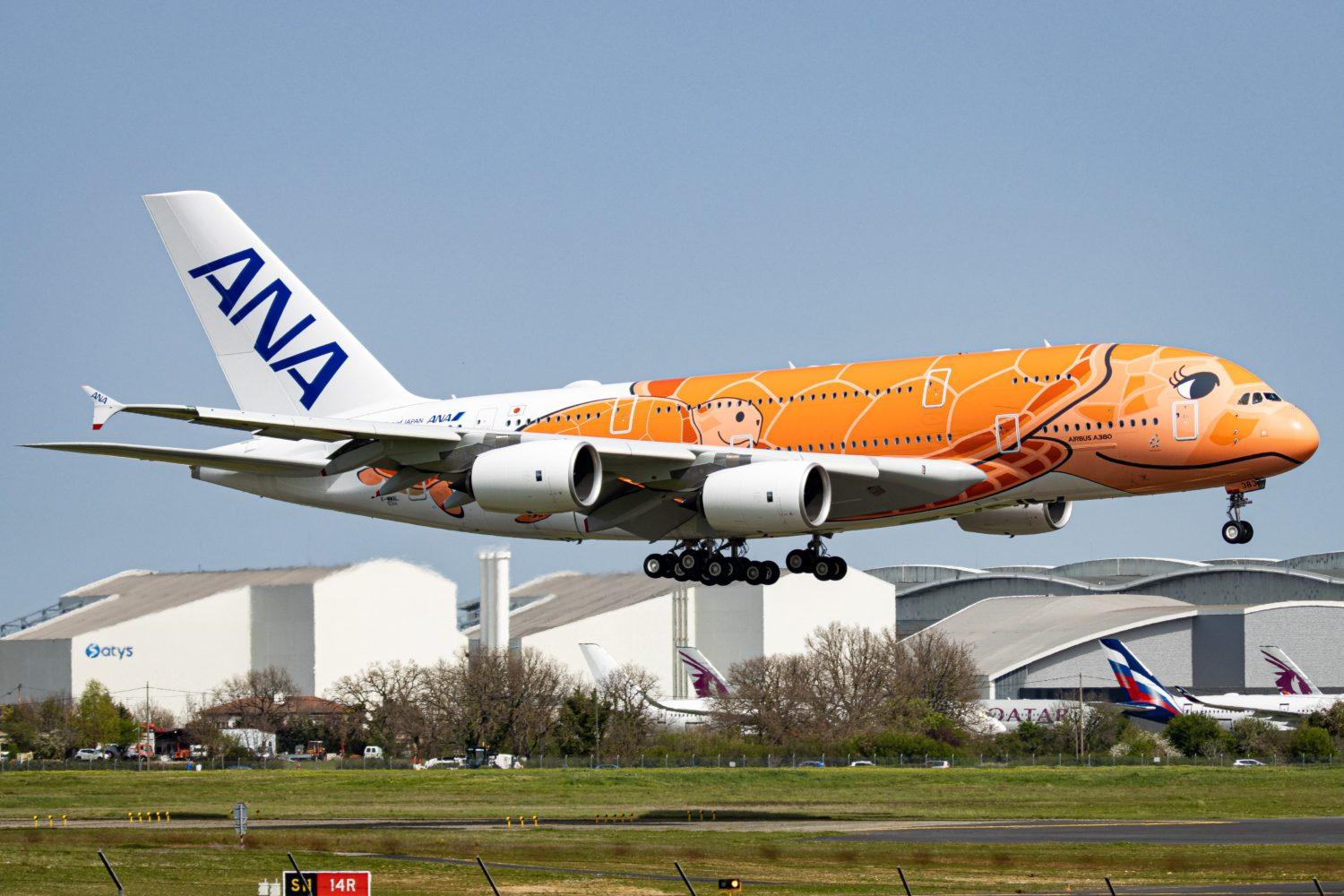 ana a380 flying honu