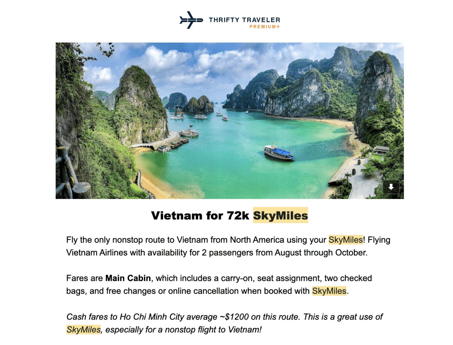 Thrifty Traveler Premium Delta Skymiles flash sale flight deal alert to Vietnam
