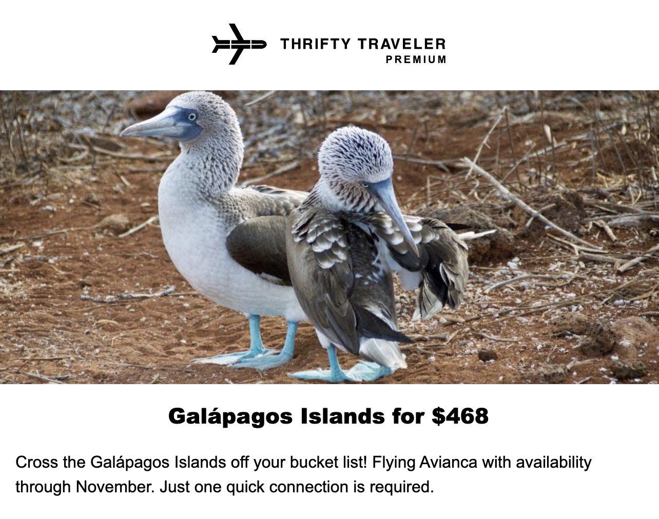 Galapagos flight deal