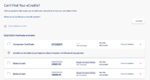 How To Find Use Your Delta ECredits Delta Ecredit Wallet 300x160 