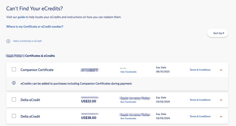 How to Find & Use Your Delta eCredits