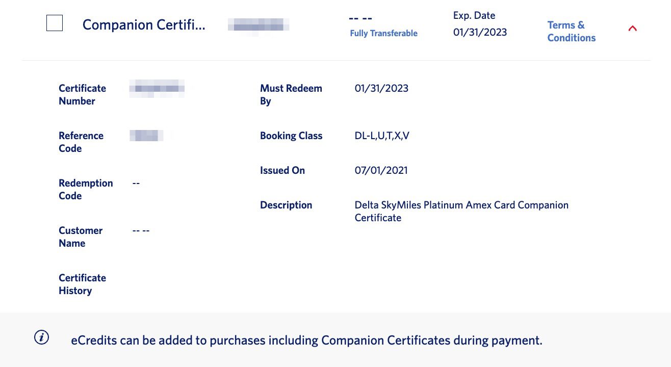 delta companion ticket