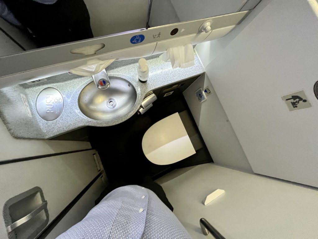 SAS Premium Economy bathroom