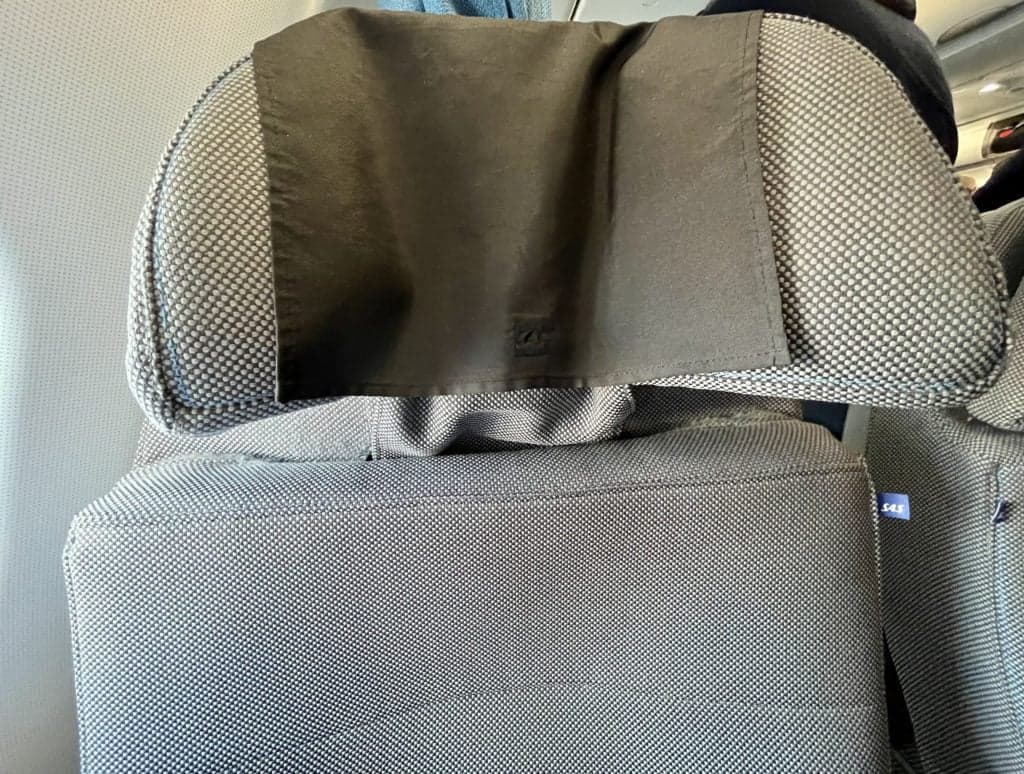 SAS premium economy seat headrest