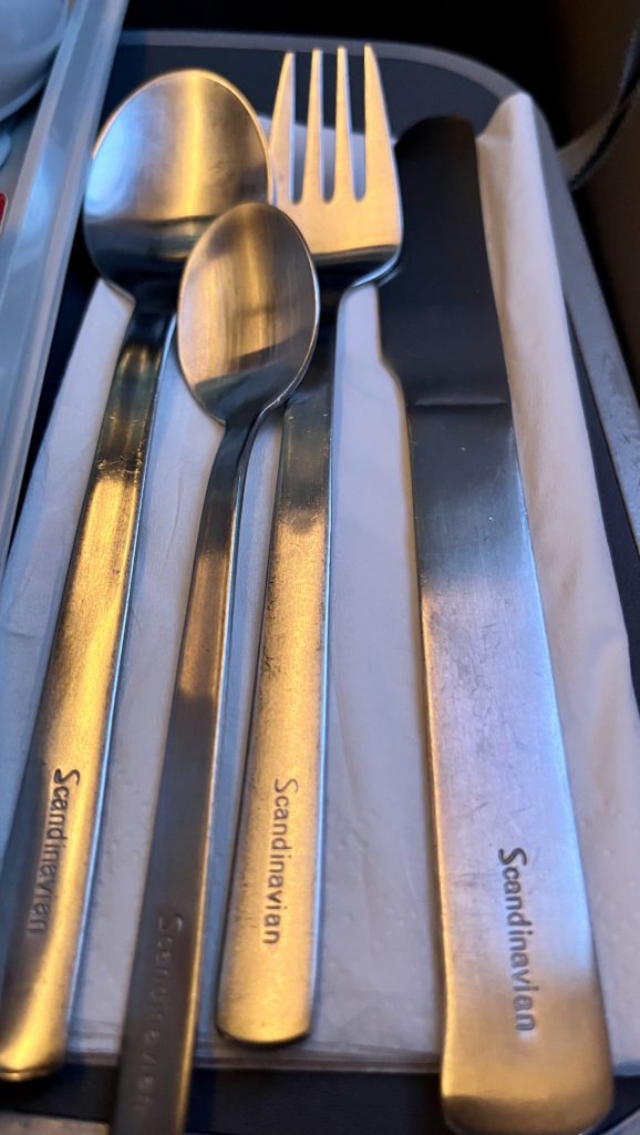 sas premium economy silverware