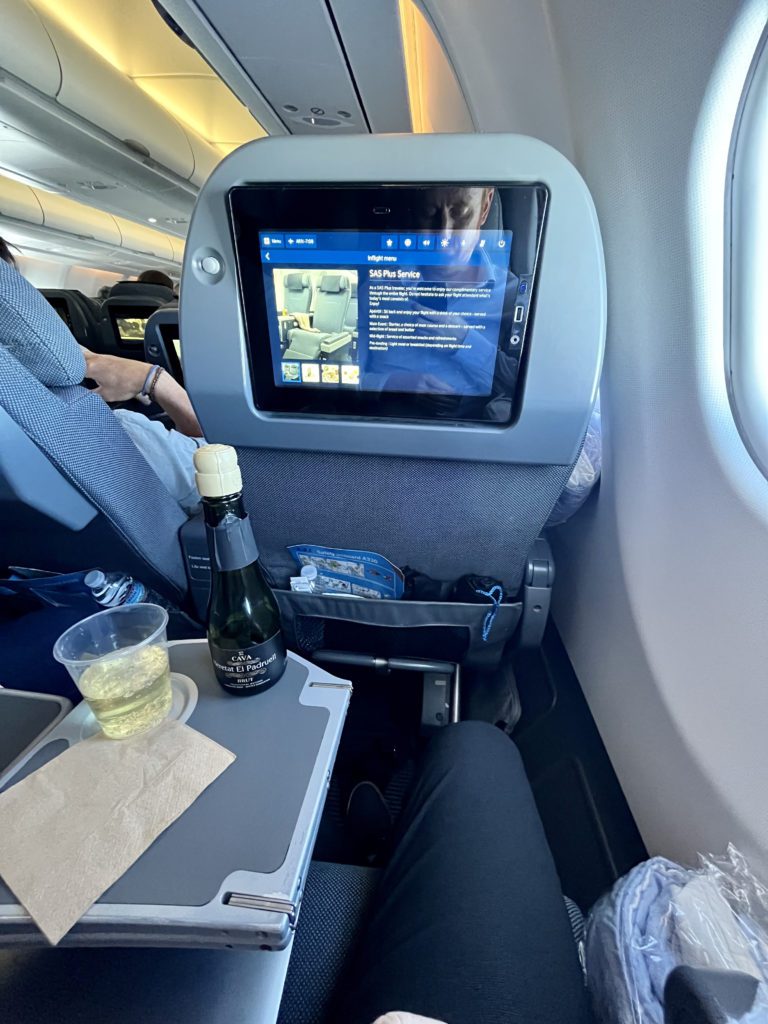 sas premium economy tray table