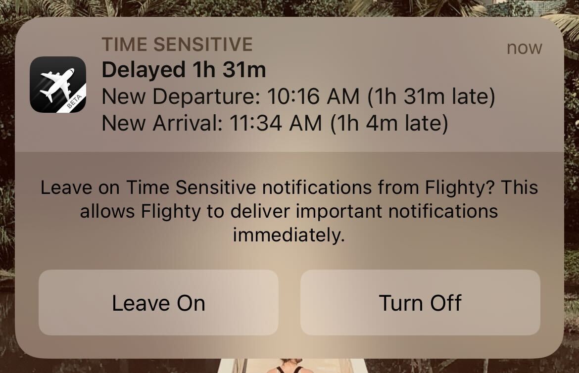 flighty app notification