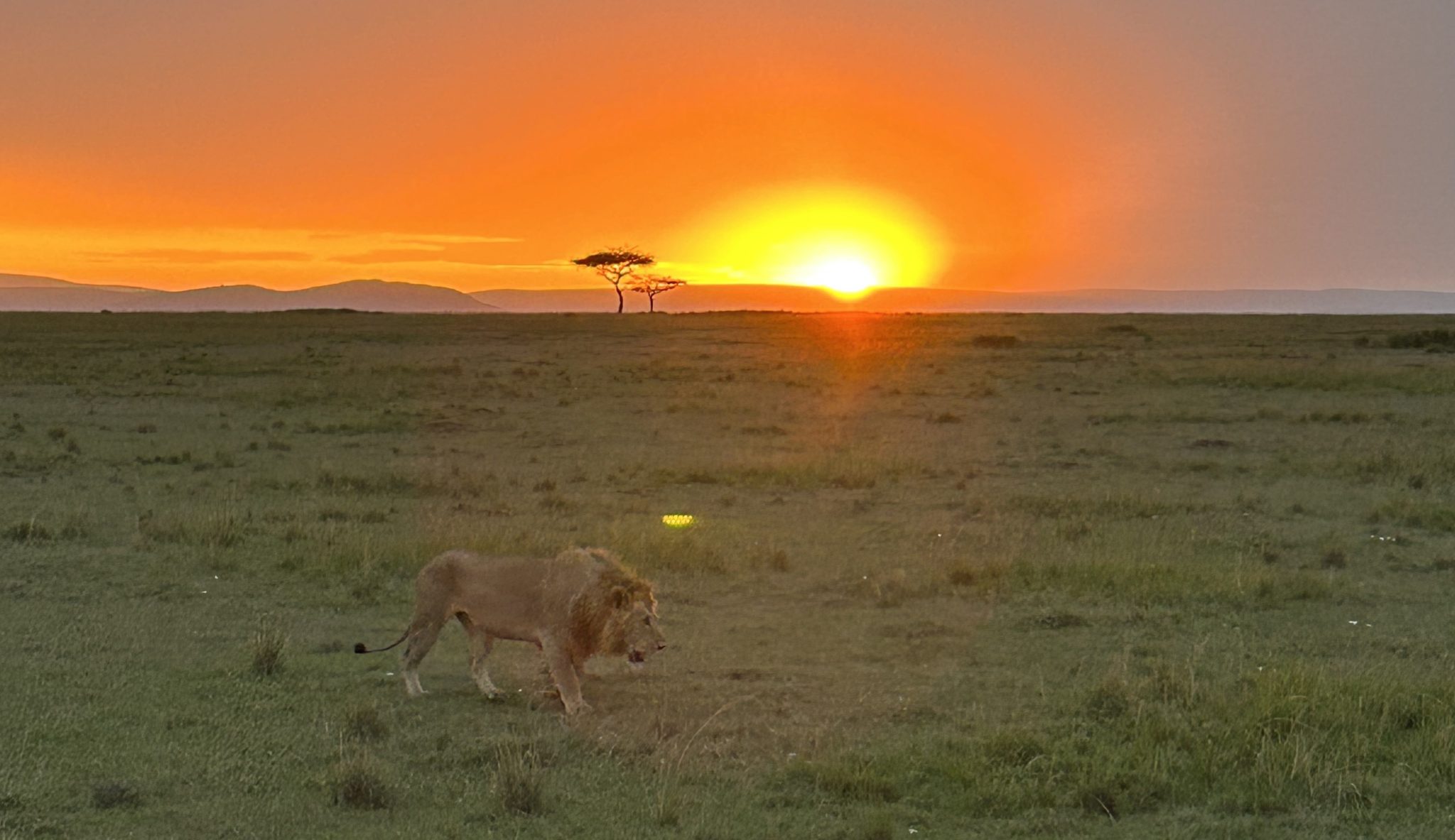 Safari Planning Tips What You Need to Know to Travel to Africa