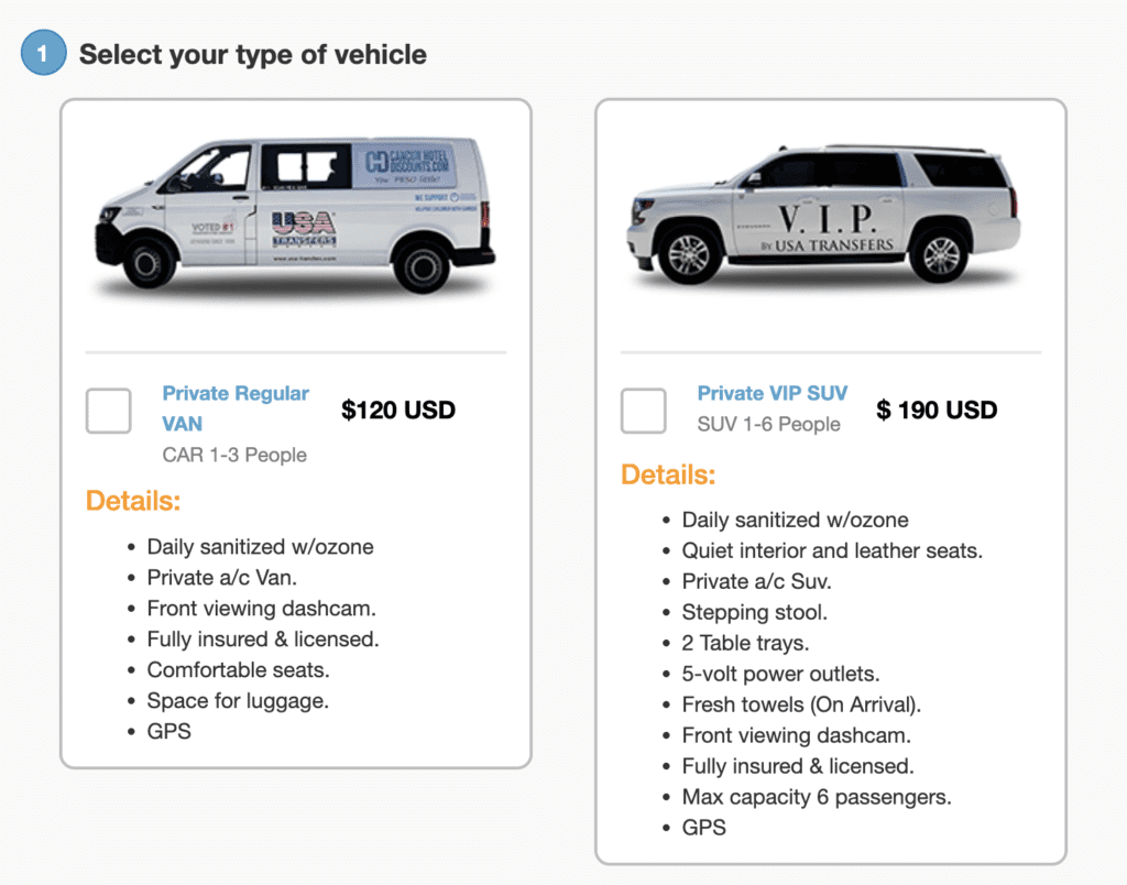 usa transfers pricing