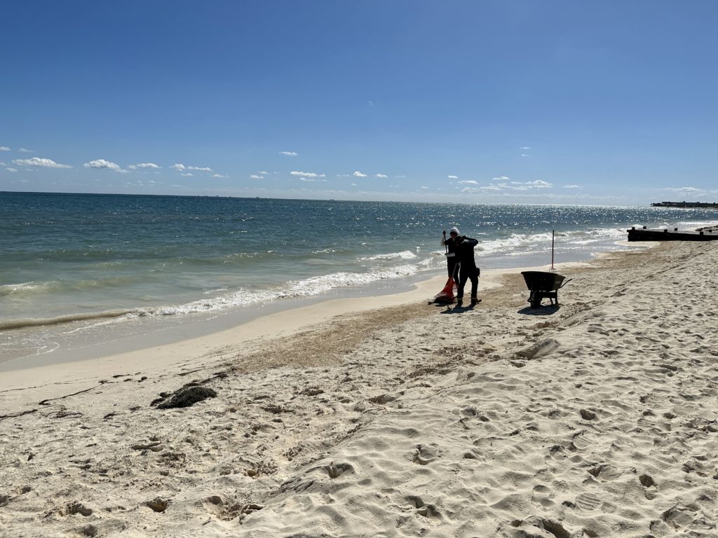 zilara riviera maya beach clean up