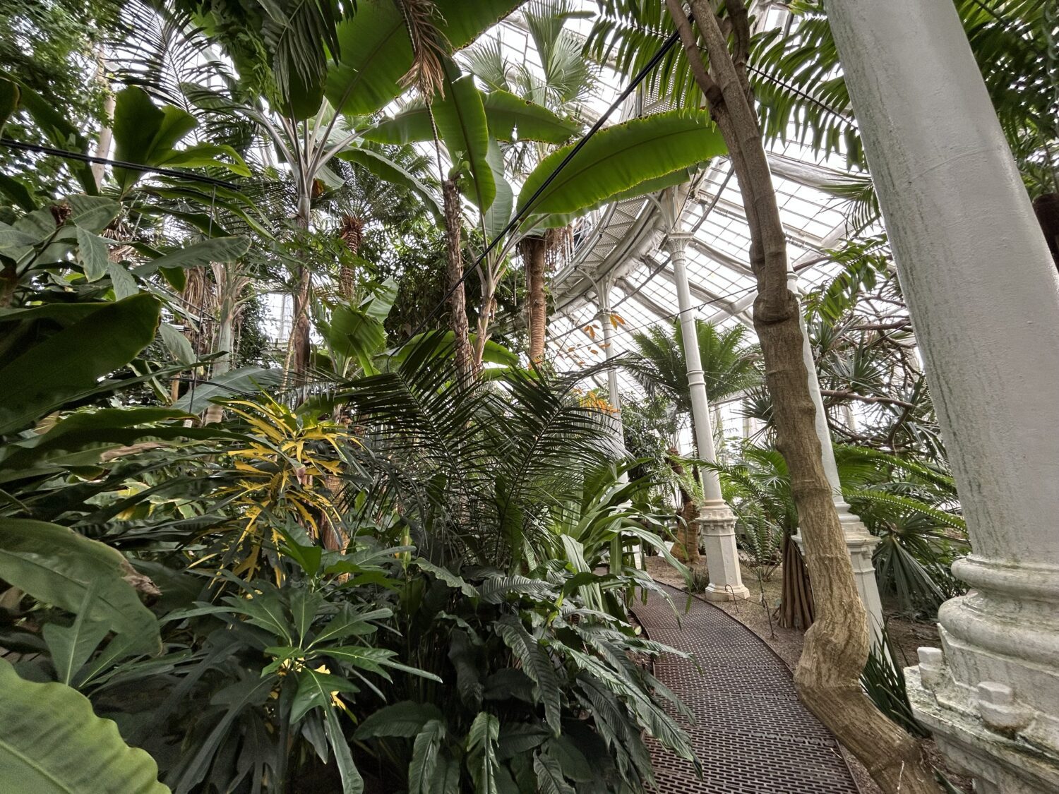 Botanic Garden interior