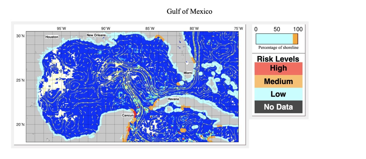 NOAA sargassum