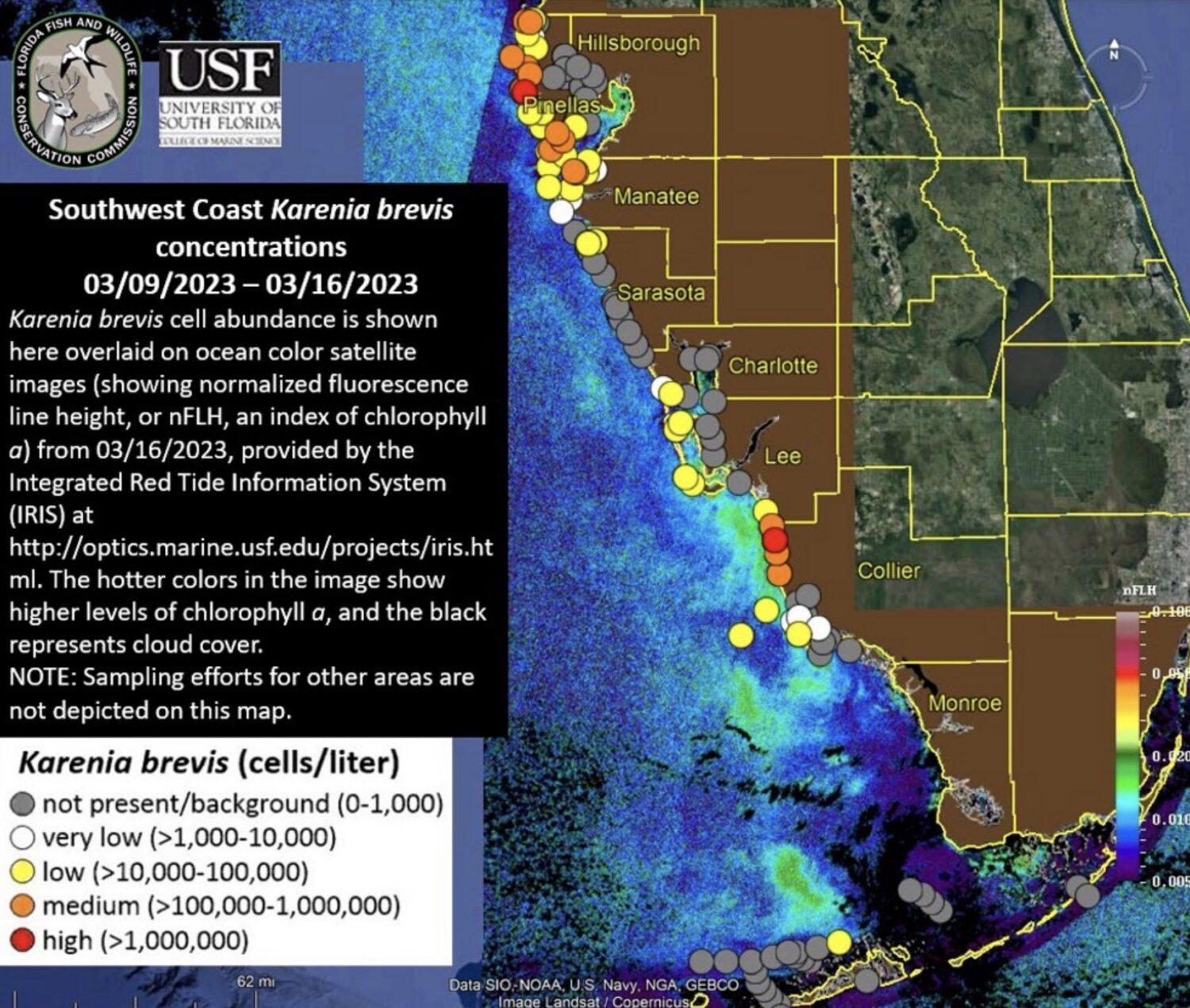 Red Tide Map Florida 2025 - Kaile Meagan