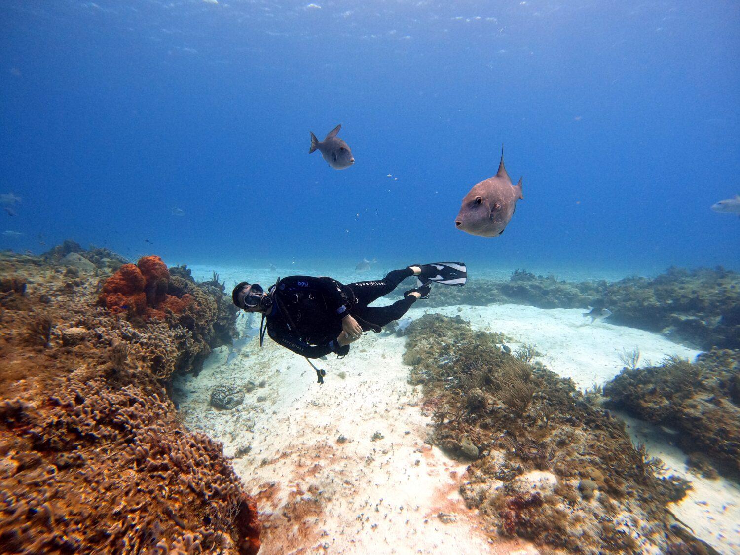 cozumel scuba diving