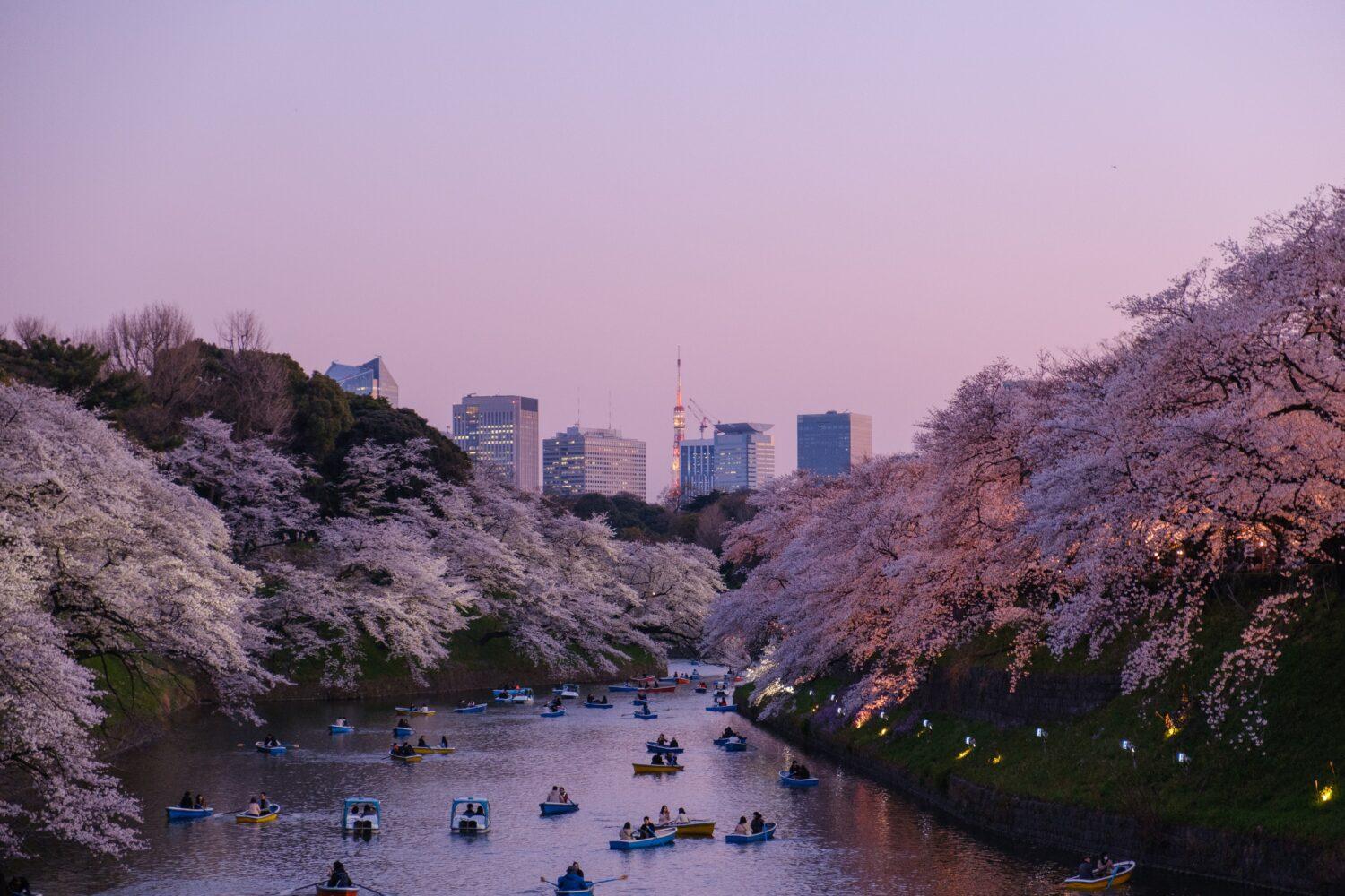 tokyo skyline