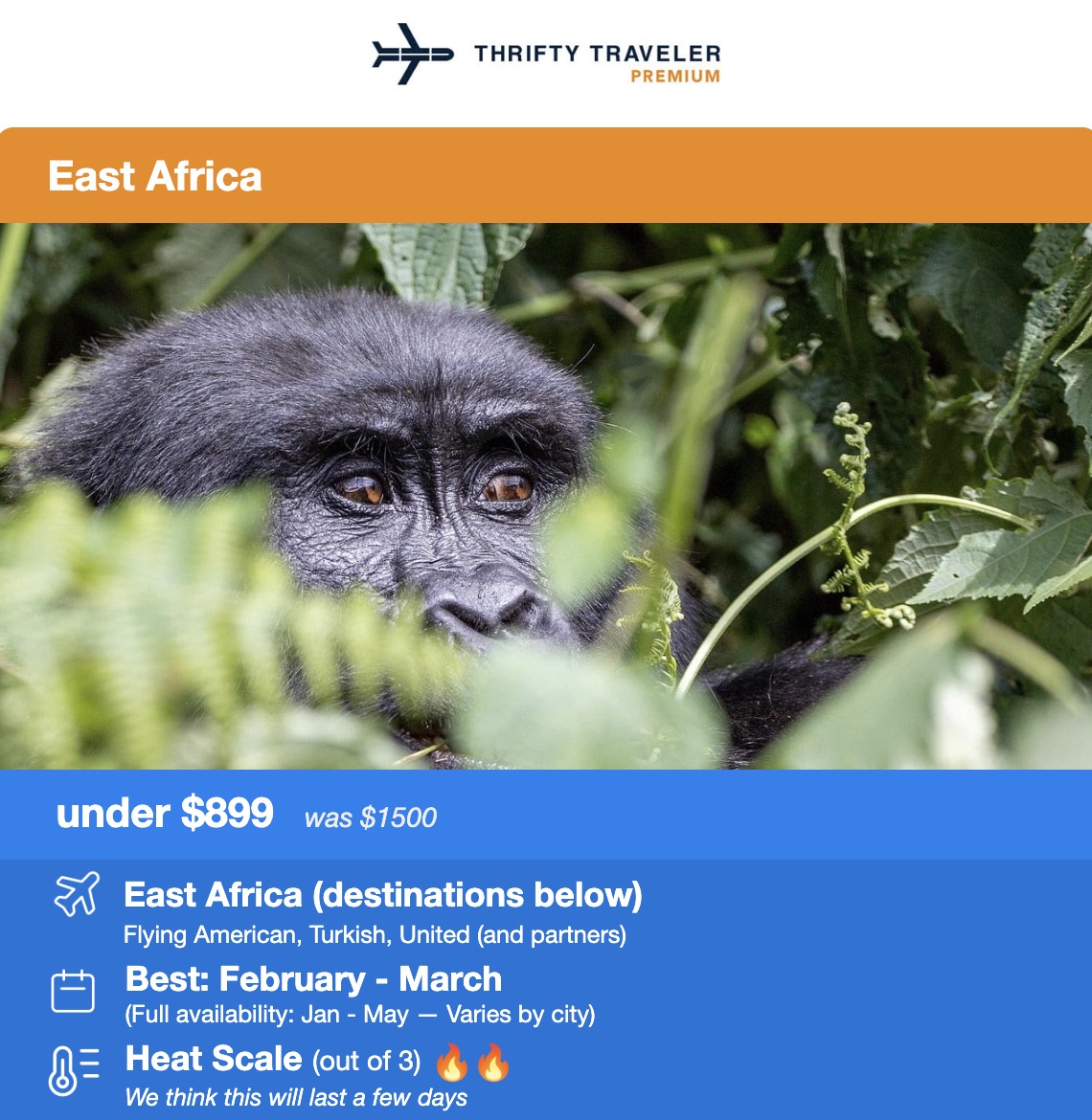 Africa flight deal under $899