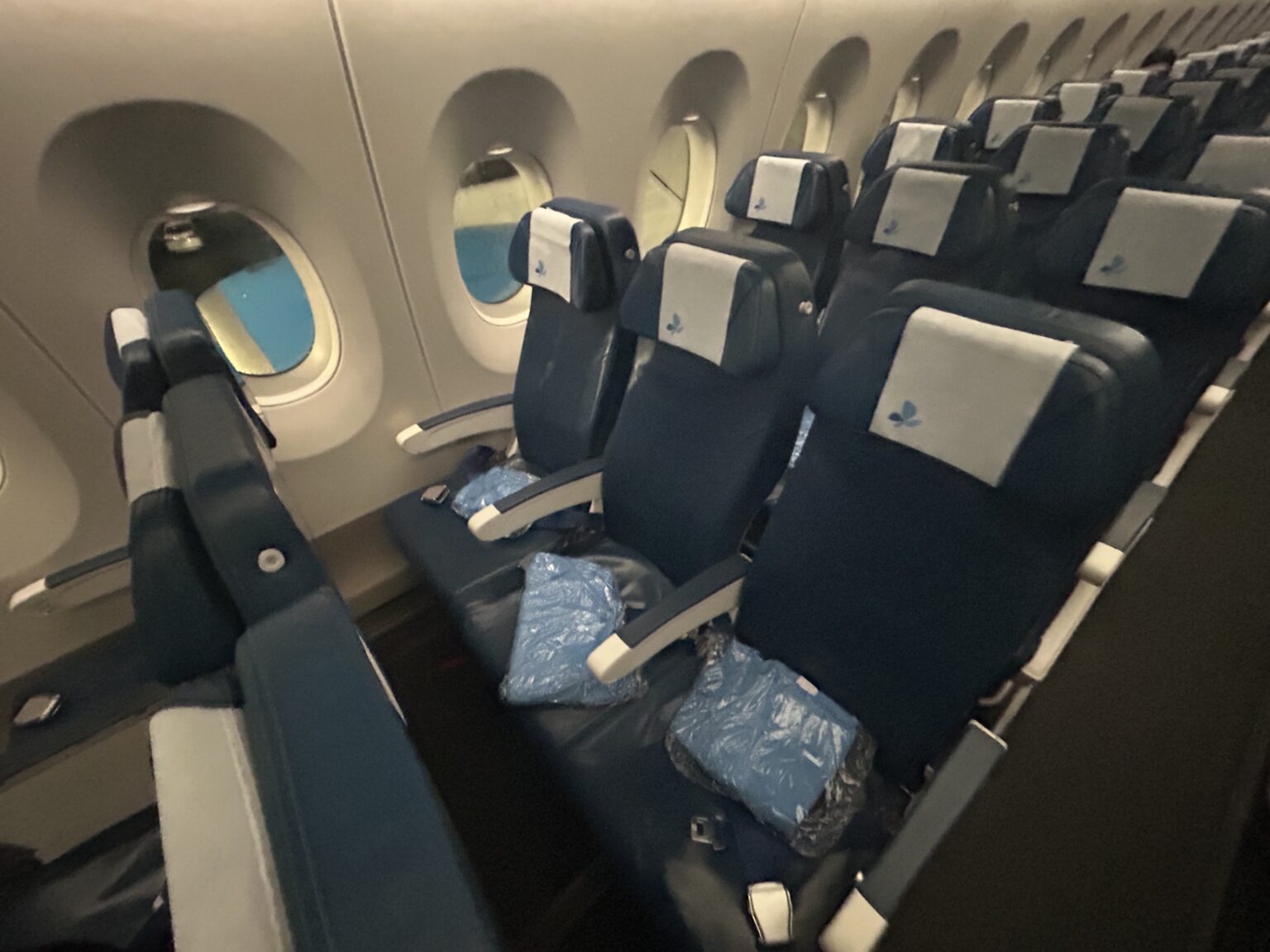 Review: What is it Like to Fly French Bee Airlines?