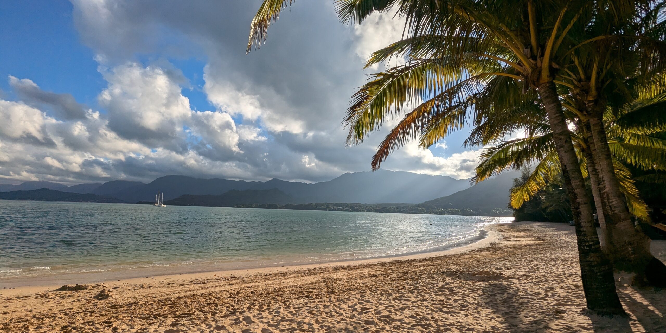 Beach on Oahu, Hawaii with sand, palm trees, and mountains in the distance.