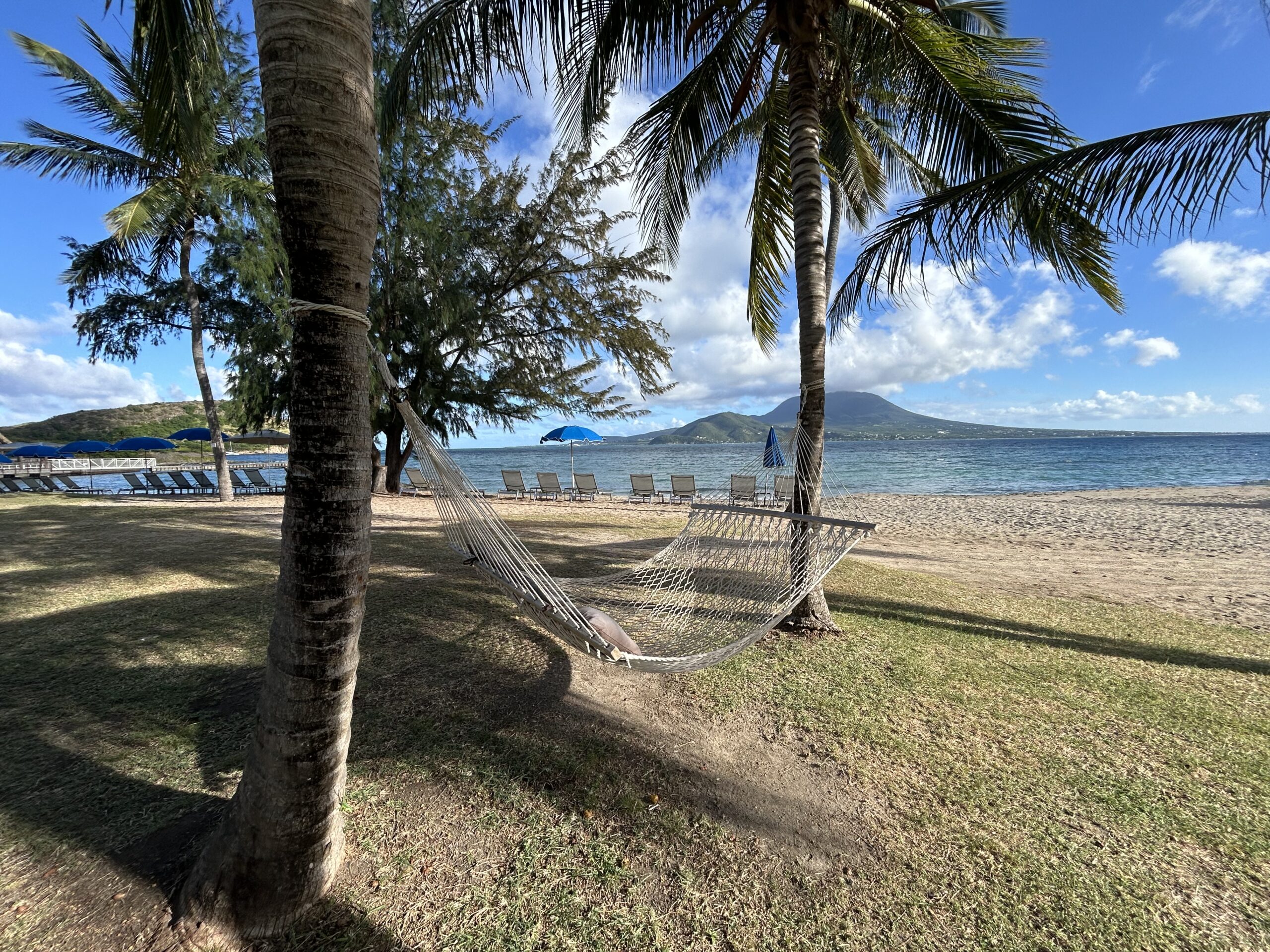 Hammock tied between two palm trees on the beach