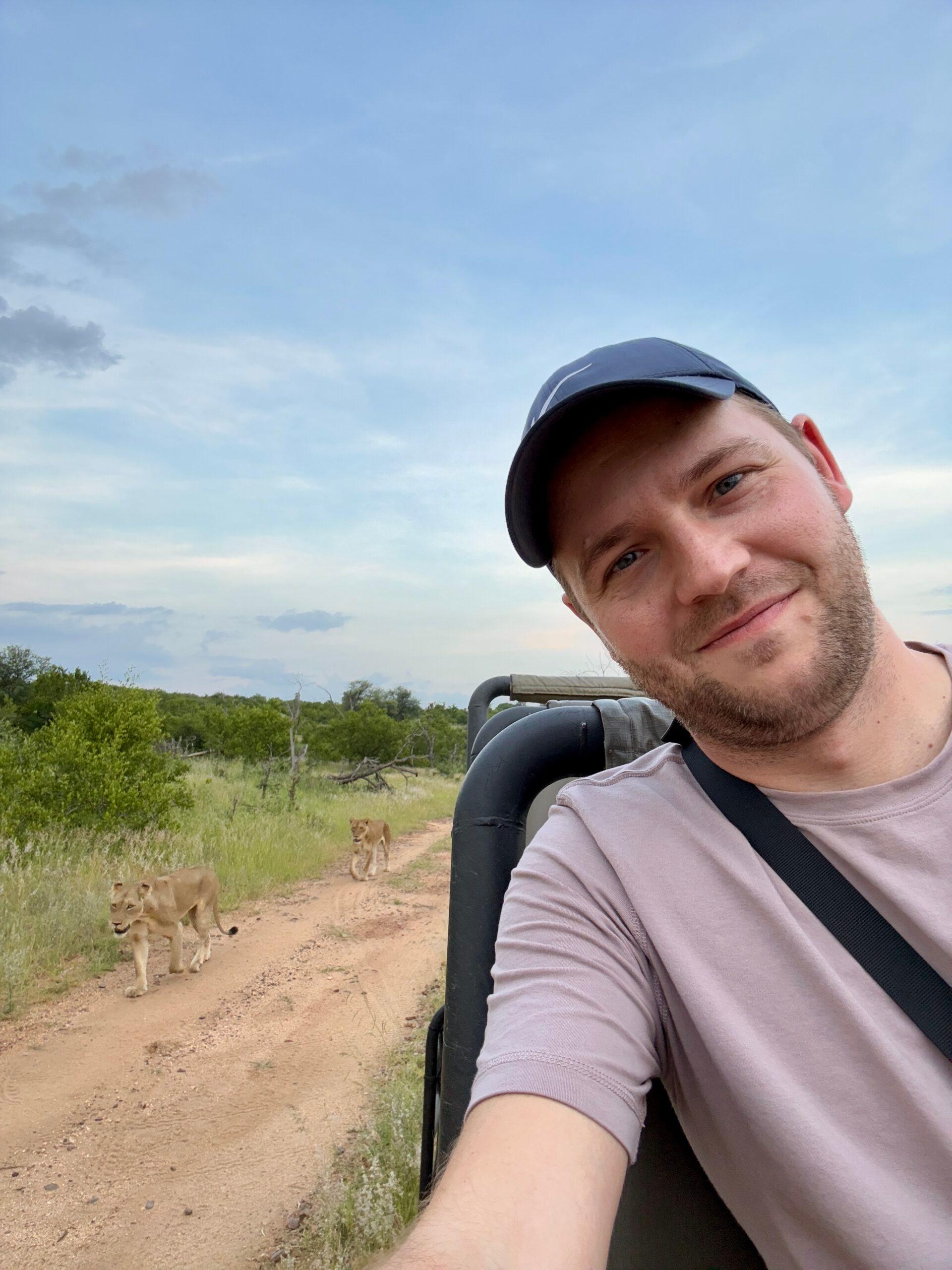 man in a safari jeep with a pride of lions walking on the path