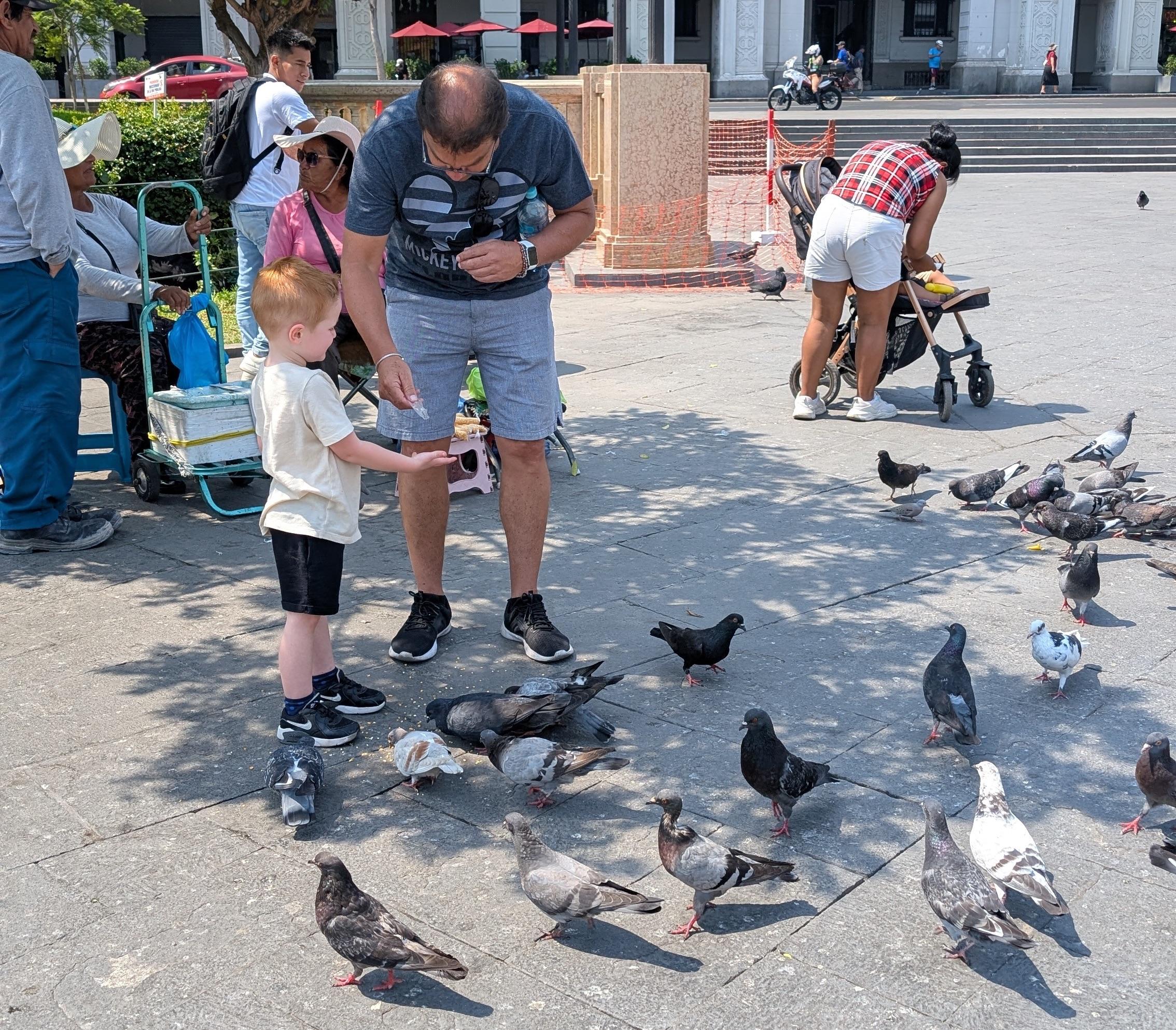 Feeding pigeons in Plaza José de San Martín