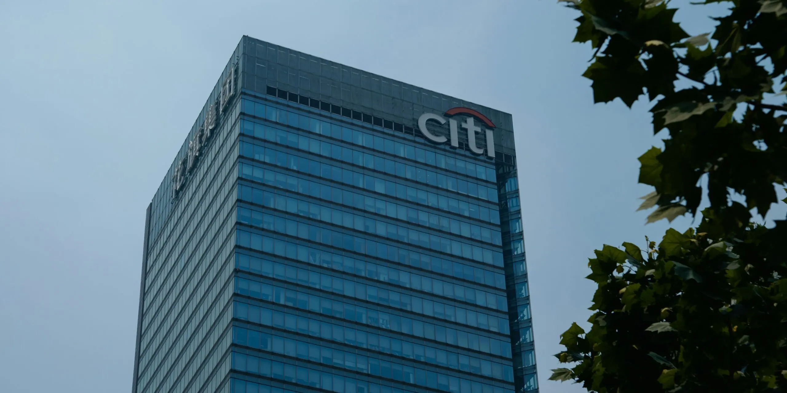 A skyscraper with Citi Bank branding and a tree.