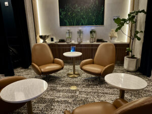 Delta One Lounge wellness area