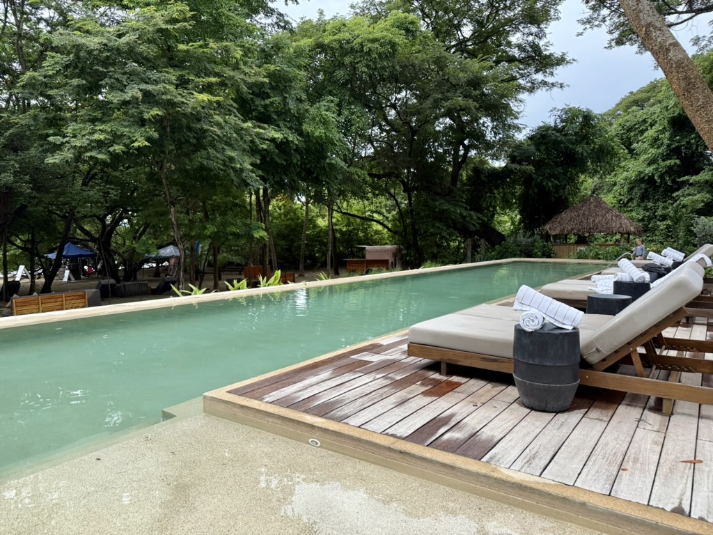 Lounge chairs by a pool at the beach club