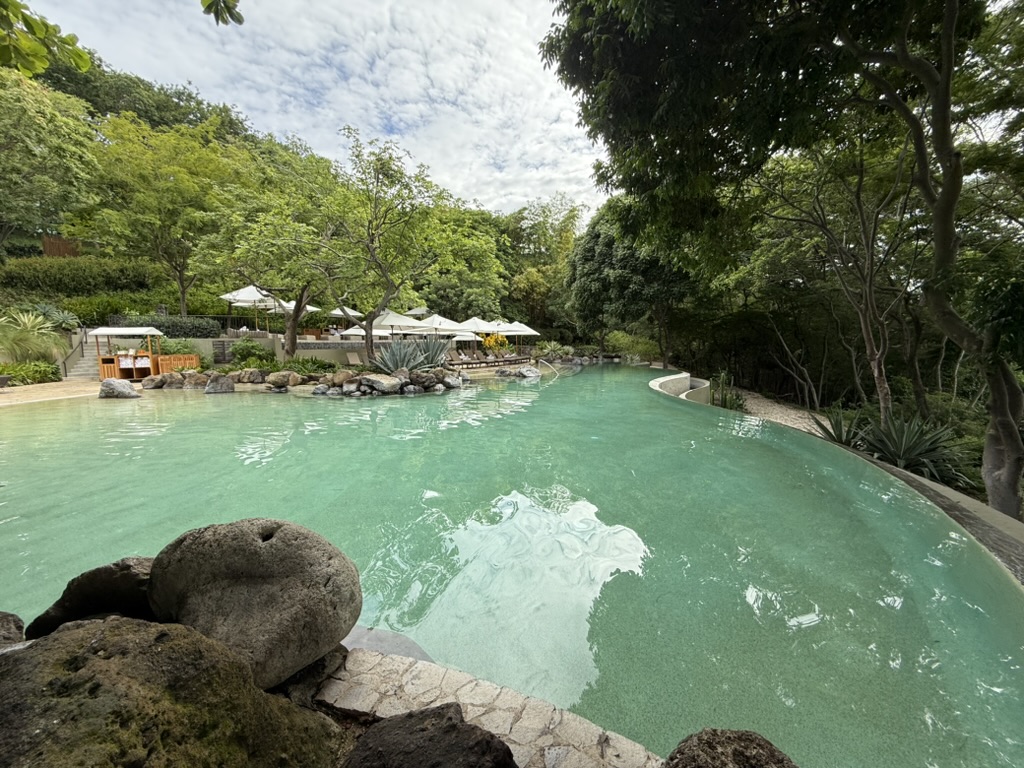 Infinity pool with rocks, trees, and umbrellas surrounding it. 