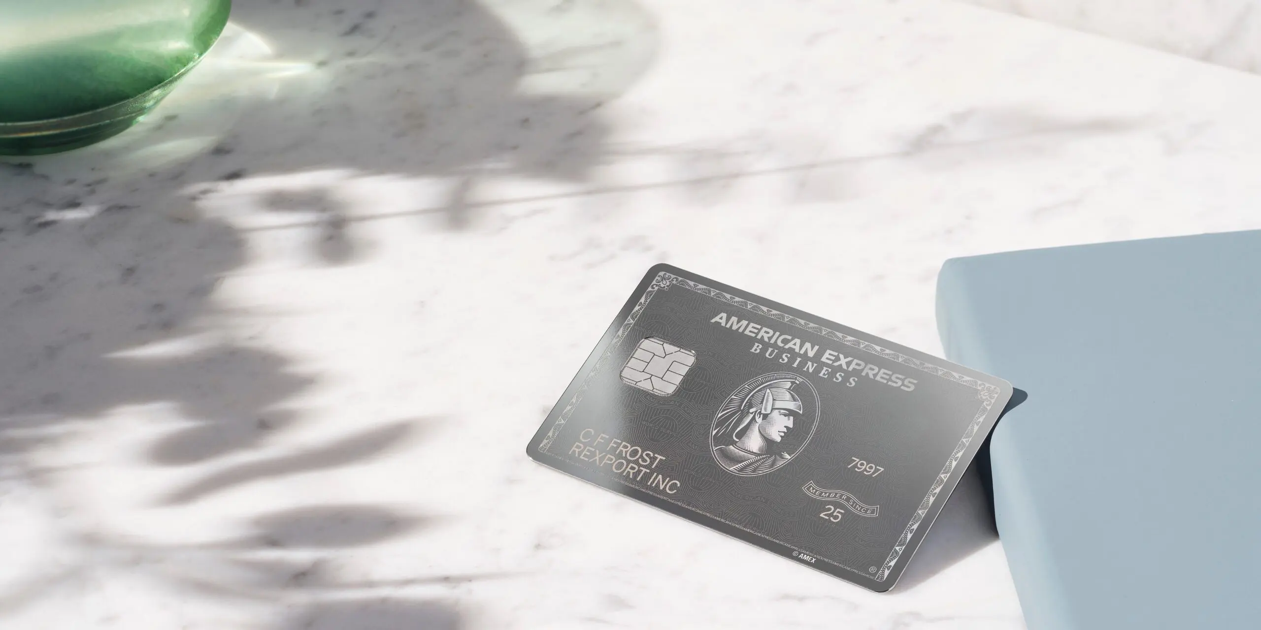 Business Platinum leaned up against a light blue notebook with shadows on the counter top.