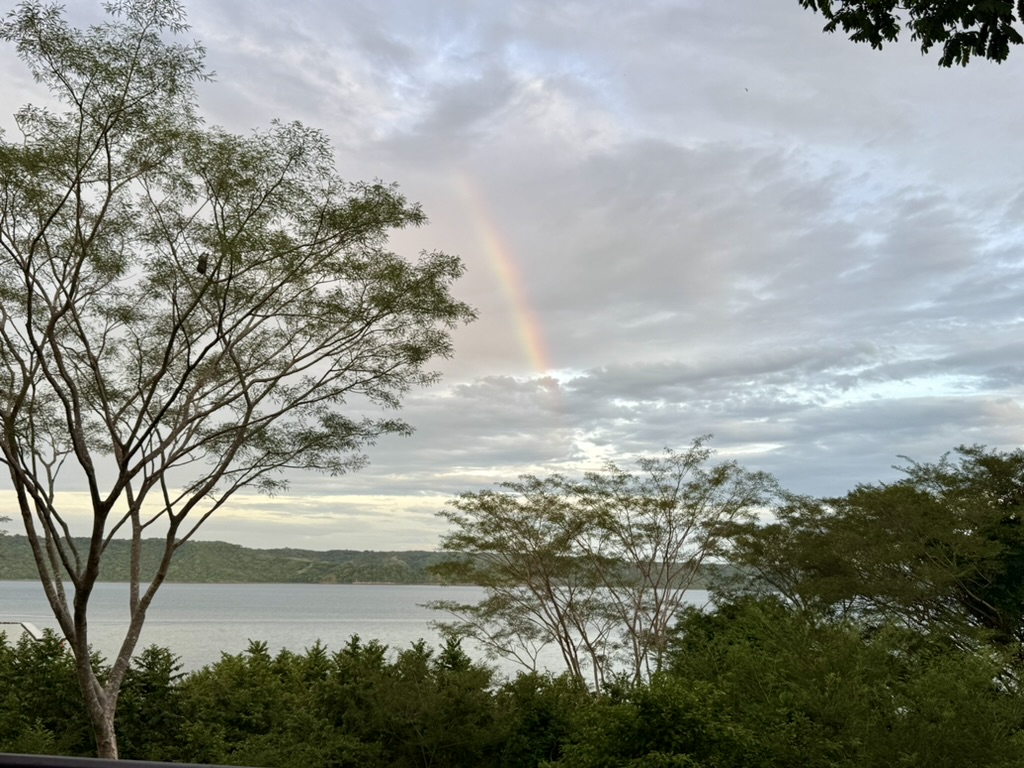 rainbow over water with a jungle surrounding it