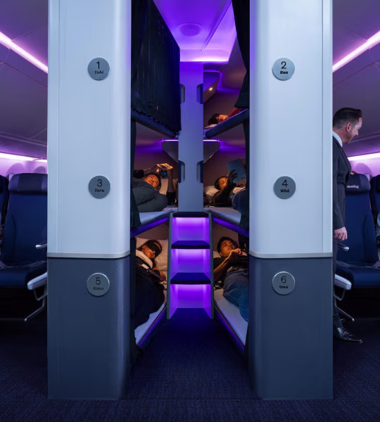 Flying Soon: Bunk Beds for Economy Flyers on Air New Zealand 3 air new zealand skynest