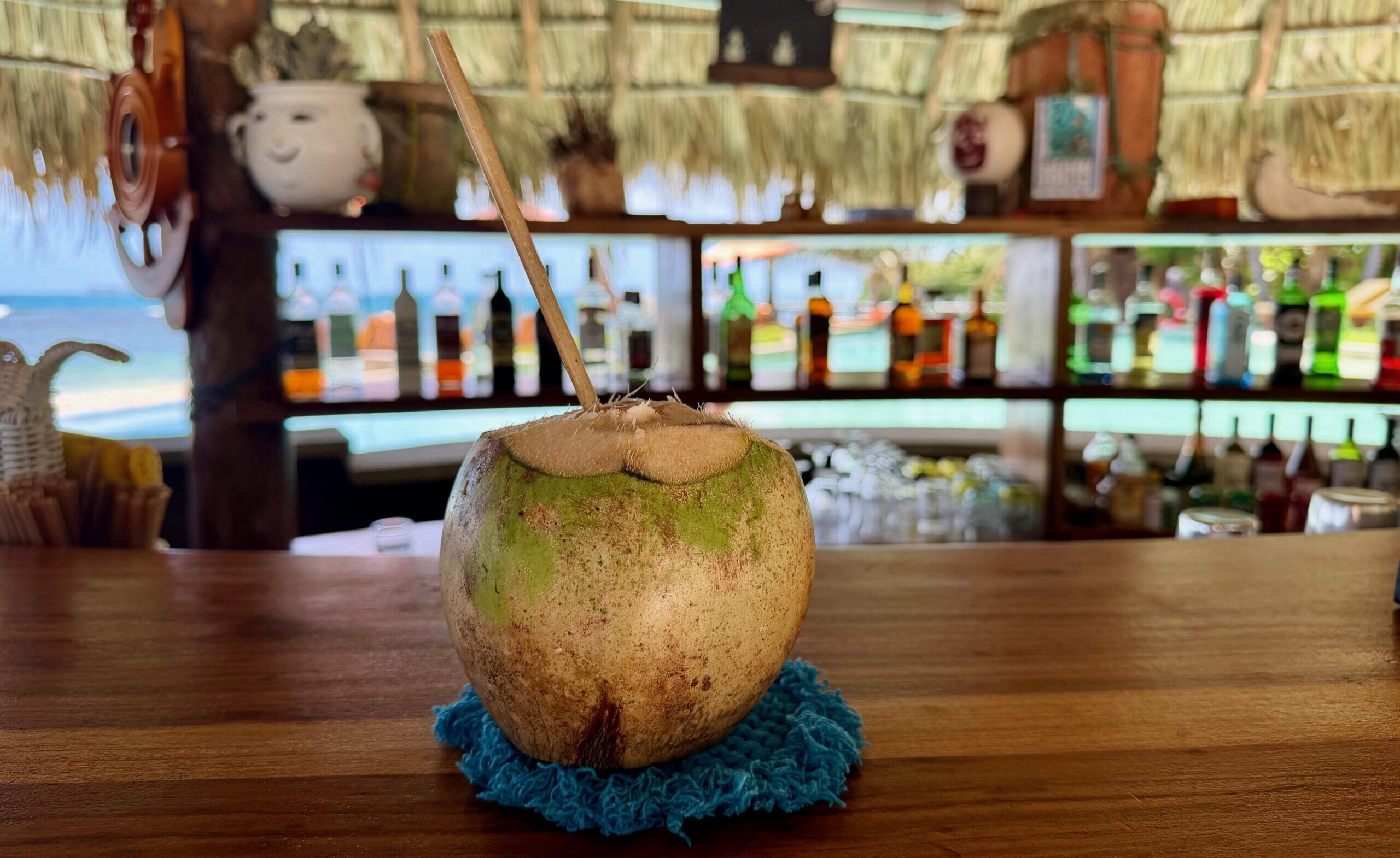 Calala Island Review: Is Hilton's Private-Island Splurge Worth 240K Points a Night? 29 Coconut on bar top at Calala Island